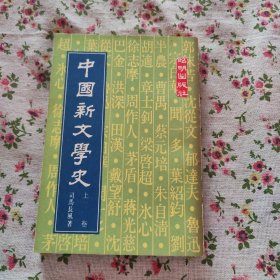 中国新文学史 上卷