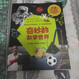 童立方·奇妙的数学世界（套装全4册）解密300多种数学现象，涵盖200多个小学数学知识