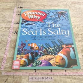 Wonder Why the Sea is Salty 海水为什么是咸的 8 10岁 少儿启蒙认知科普 大开本