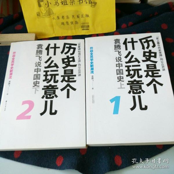 历史是个什么玩意儿2：袁腾飞说中国史下