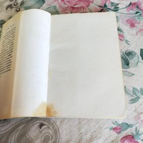 中国:前现代化的阵痛