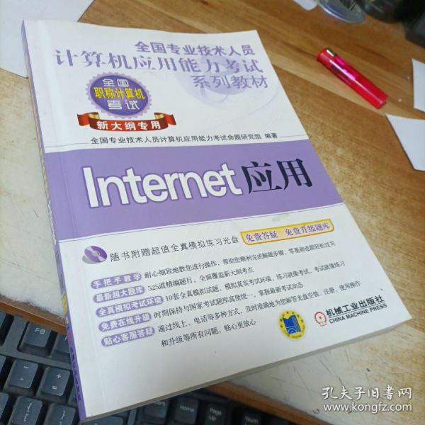 全国专业技术人员计算机应用能力考试系列教材：Internet应用（新大纲专用）