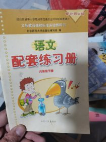 人教版义务教育课程标准实验教科书配套练习册 : 语文六年级下册