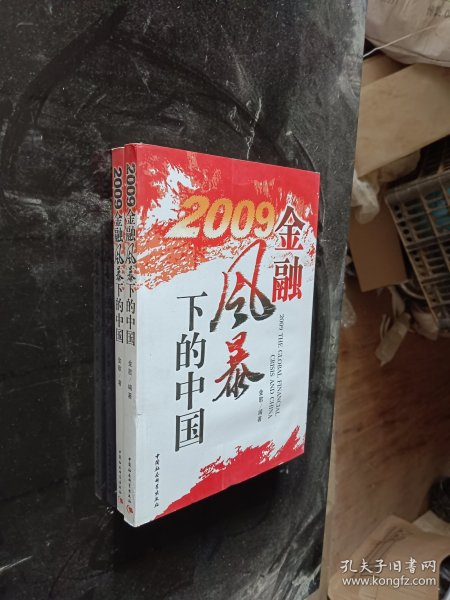 2009金融风暴下的中国