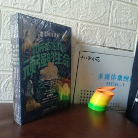 地球神秘档案（全5册）