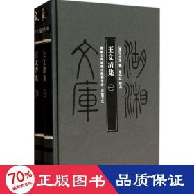 王文清集 中国古典小说、诗词 作者