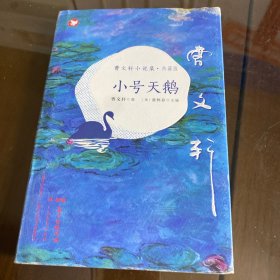 曹文轩小说集（典藏版）：小号天鹅
