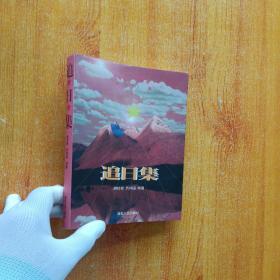 追日集【书内有少量划线】