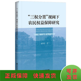 “三权分置”视阈下农民权益保障研究