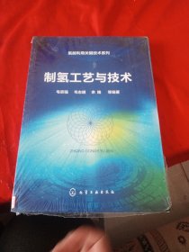 氢能利用关键技术系列--制氢工艺与技术