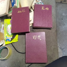 长篇历史小说《曾国藩》第一部血祭第二部野焚，第三部黑雨
