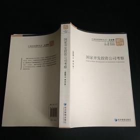 中国国情调研丛书·企业卷：国家开发投资公司考察