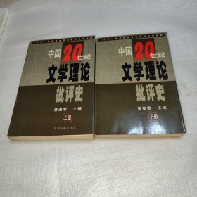 中国20世纪文学理论批评史（上下）