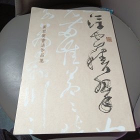 黄君实书法作品集
