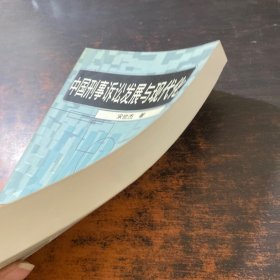 中国刑事诉讼发展与现代化