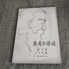 泰格尔小说选