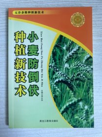 种植新技术小麦防倒伏