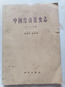 中国经济昆虫志第二十四册 同翅目粉蚧科