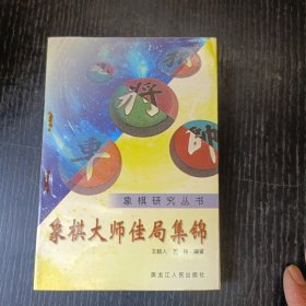 象棋研究丛书:象棋大师佳局集锦