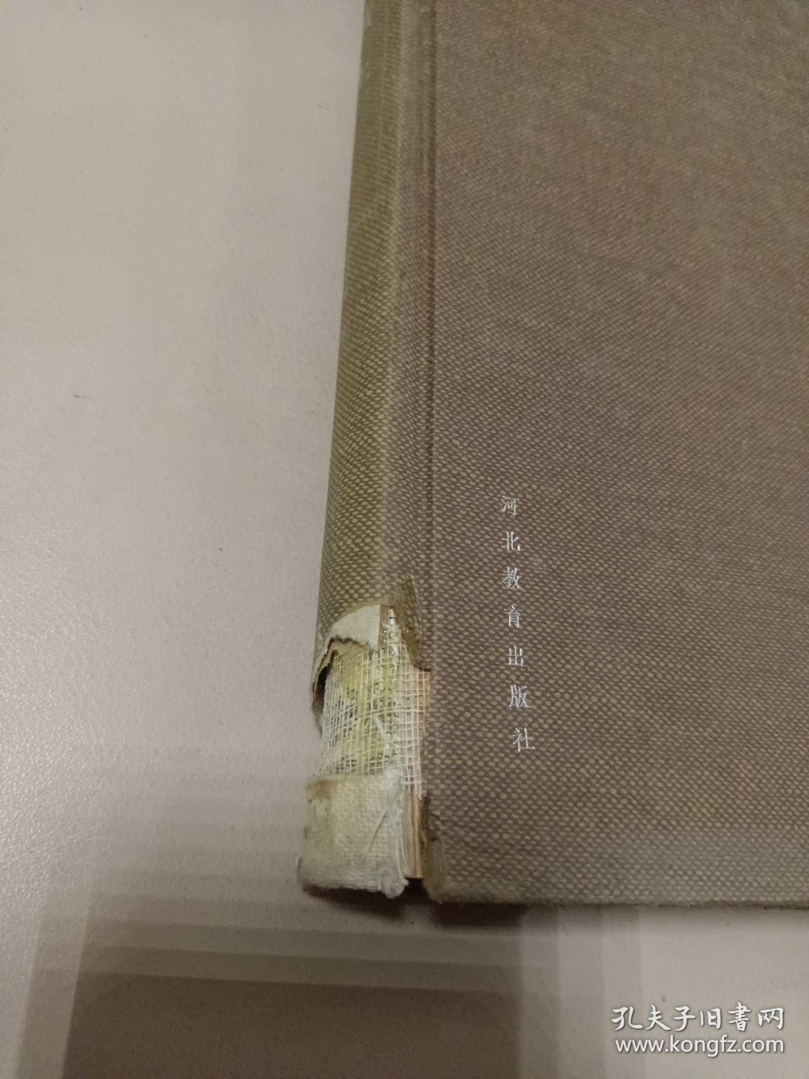 中国院士书系 中国黄土