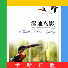 湿地鸟影/自然随笔丛书/好奇心书系