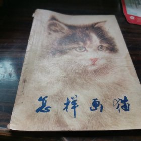 怎样画猫