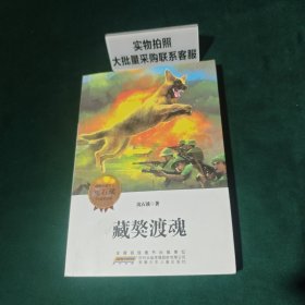 动物小说大王沈石溪自选精品集：藏獒渡魂（动物小说大王沈石溪自选精品的重磅推出，令人赞叹的动物传奇，可歌可泣的生态赞歌。）