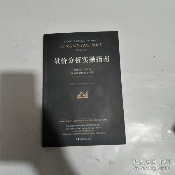 量价分析实操指南：创建属于自己的高品质股票交易系统（畅销书《量价分析：量价分析创始人威科夫的盘口解读方法》实操版）