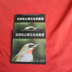北京松山常见鸟类图谱 4