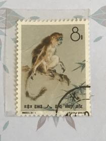 特60《金丝猴》盖销散邮票3-1