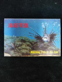 （明信片）海底观鱼