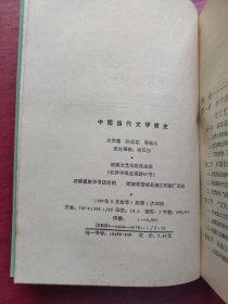中国当代文学简史