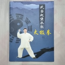 武当赵堡承架太极拳