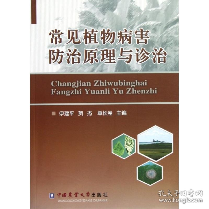 正版 常见植物病害防治原理与诊治 伊建平等 中国农业大学出版社