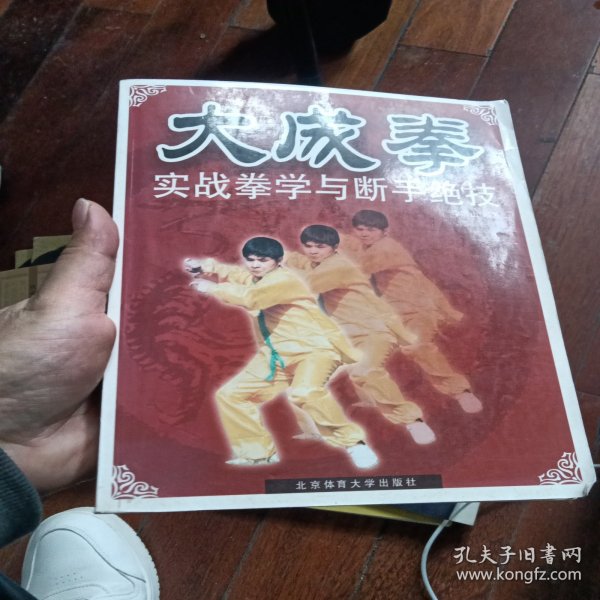 大成拳实战拳学与断手绝技