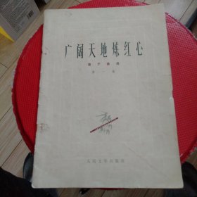 广阔天地炼红心 笛子曲选（第一集）