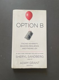 Option B: Facing Adversity, Building Resilience, and Finding Joy