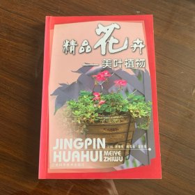 精品花卉——美葉植物