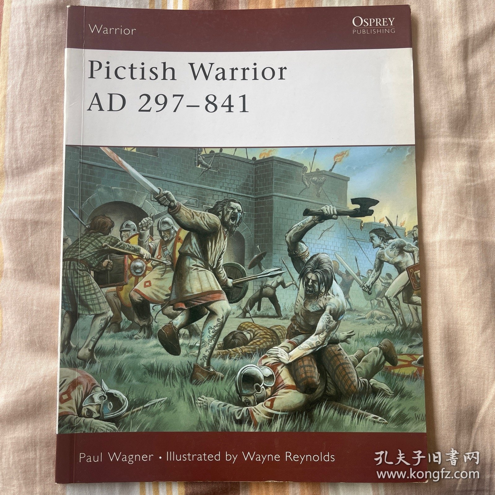 Pictish Warrior AD297-841(Warrior•50) (皮克特人勇士) 英文原版