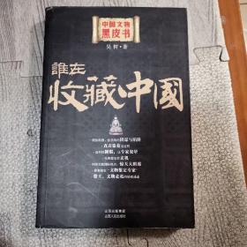 谁在收藏中国：中国文物黑皮书