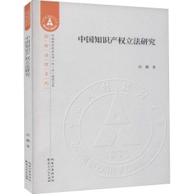 中国知识产权立法研究