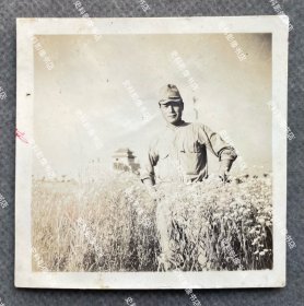 【上海旧影】1941年 上海市中心区（今五角场地区）“和平纪念林”草地上日军第5师团步兵第21旅团士兵以伪上海市政府大楼为背景留影 原版老照片一枚（照片背面有1941年6月“松第二部隊本部”即日军第5师团步兵第21旅团司令部检阅章。1941年，伪上海市政府在市中心区种植“和平纪念林”，1943、1944年在伪市政府举行两次植树节活动。）