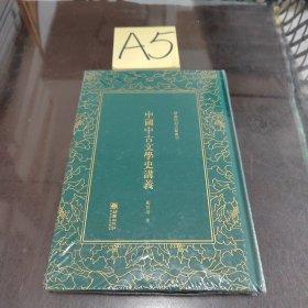 中国中古文学史讲义——清末民初文献丛刊 未开封