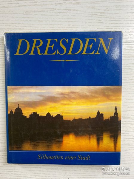 Dresden: Silhouetten einer Stadt德累斯顿： 城市的剪影（24开）精装如图、内页干净