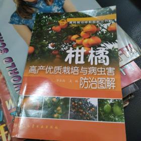 果树栽培修剪图解丛书--柑橘高产优质栽培与病虫害防治图解
