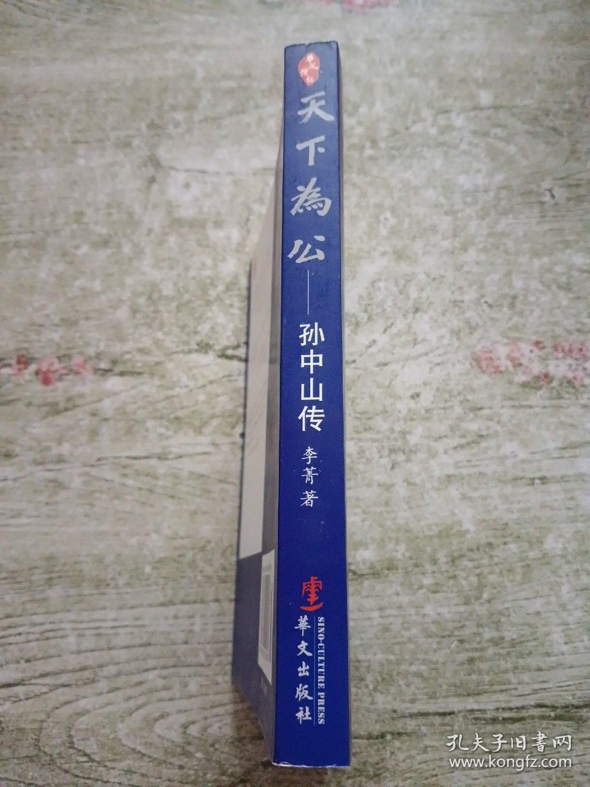 天下为公：孙中山传