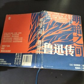 明暗之间：鲁迅传（钱理群郑重推荐，带你沉浸式闯入觉醒年代）