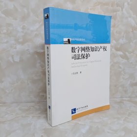 数字网络知识产权司法保护