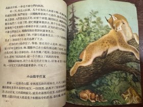 《鸟兽和它的娃娃》（高尔洛夫绘图，少年儿童出版社1956年一版一印）
