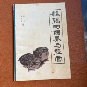 鹌鹑的饲养与经营